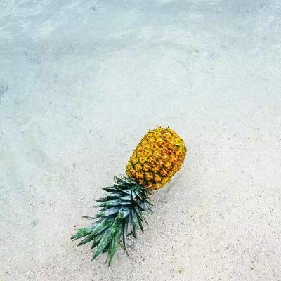 Aprilfo82214969's profile picture. 