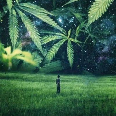 juanpab71293851's profile picture. Ser alegre siempre