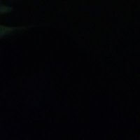 no name (@wwarr66) 's Twitter Profile