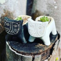 mini 🍀atu.botanica (@atu) 's Twitter Profile