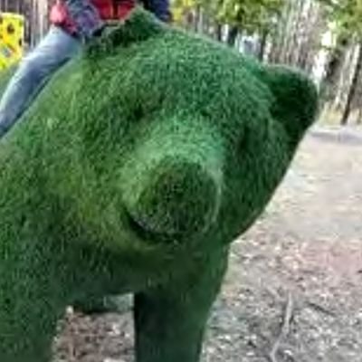 viktorgugo1985's profile picture. рад новым товарищам #общение #взаимность Веселый и общительный