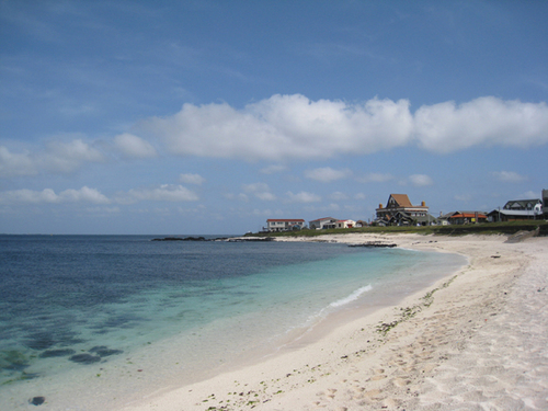 sooooogood111's profile picture. 🍀슬라야 힘내!!