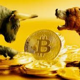 WestsideCrypto's profile picture. 