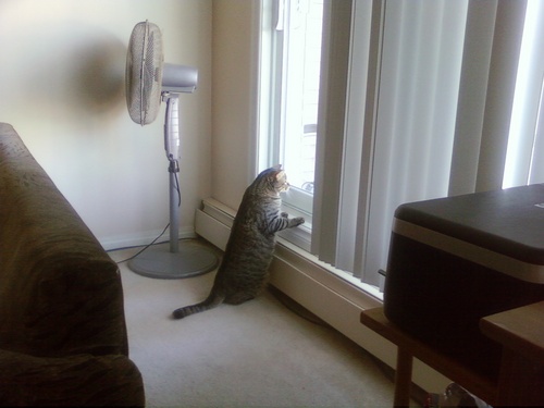 Slappywaggle's profile picture. 