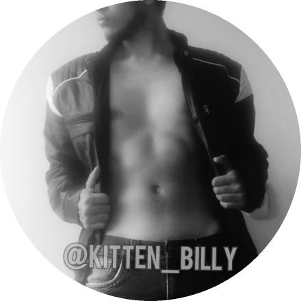 Kitten_Billy Profile Picture
