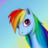 darikcr's profile image
