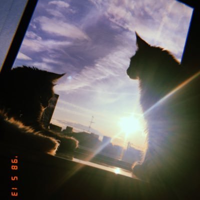 JILL08691297's profile picture. 京都橘大学 通信教育課程 心理学科 正科生 4年次(2022入学) 40代自営業。目標:公認心理師/臨床心理士+シングル家庭の支援に携わりたい。2026年秋予備校入学、2027年秋大学院入試予定◎たちばなエクールのご質問はお気軽に。学友とつながりたい/ #院進目指してる方とつながりたい /無言フォロー失礼します。