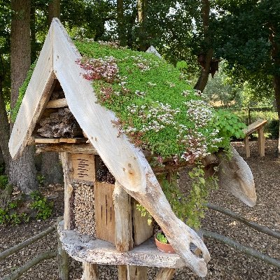 Structures for play, education and outdoor living. Chainsaw carvings & Rustic furniture, all built with locally sourced wood.