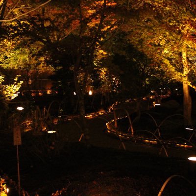 sabu_okaruto's profile picture. 趣味アカウントになりつつあります