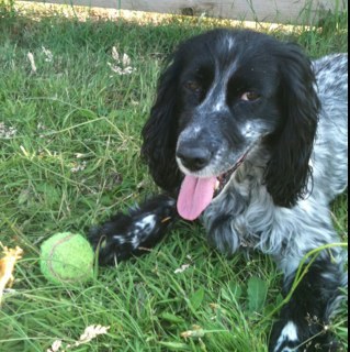 walks1973's profile picture. 