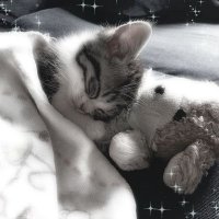 S (@dletedfeelings) 's Twitter Profile
