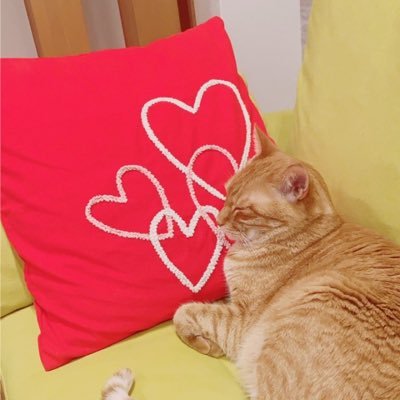 3Mindigo's profile picture. 