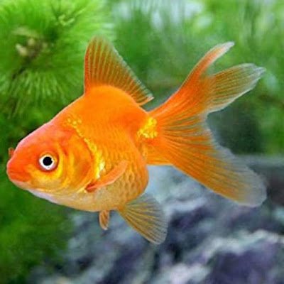 WSppKVgZlpu8gEV's profile picture. 