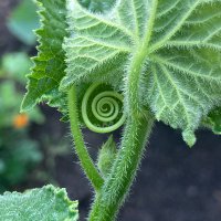 Colin Cureton (@turntales) 's Twitter Profile Photo