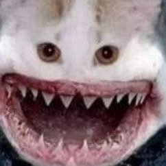 this account no longer streamsさんのプロフィール画像
