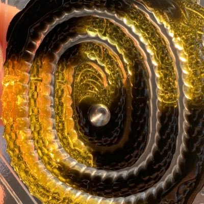 kurumaebi1988's profile picture. 太陽が好きです