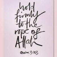 ShifaEshal's profile picture. 