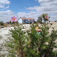 Mutlu İlkokulu (@ilkokulumutlu) Twitter profile photo