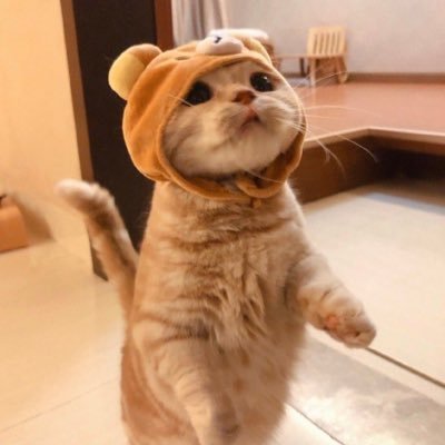 penseurnoir2's profile picture. lekarka stażystka pierwszy raz w tym kurwidołku ✨trochę lament trochę zamęt ale jakoś leci ✨ generator randomowych myśli