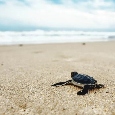 YqCP0HTrM0oLbdJ's profile picture. 0311 30+