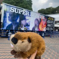 たっちゃん (@necry_fre) 's Twitter Profile