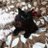 ねまきねこのアイコン