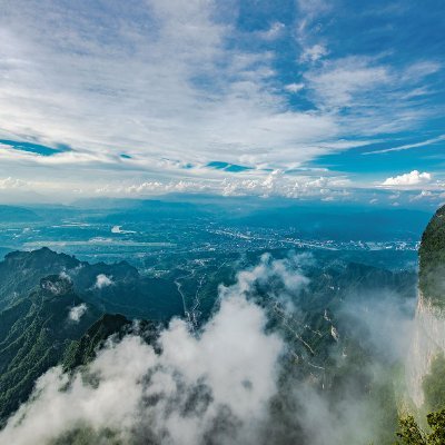 lz20191224's profile picture. 寻找链上金狗。