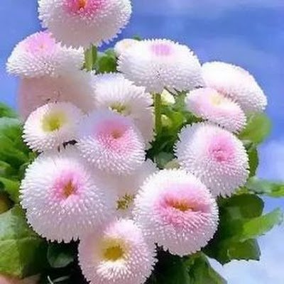 NEWEXPERIENCEL1's profile picture. Jamil