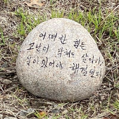 행복치🐡さんのプロフィール画像
