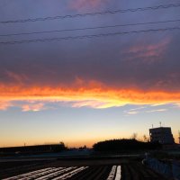 may (@may223_) 's Twitter Profile Photo