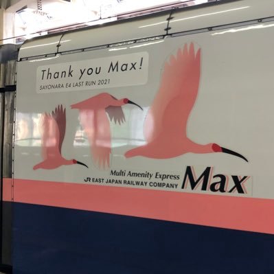 yasyumasya's profile picture. 