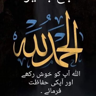 IViedos's profile picture. 