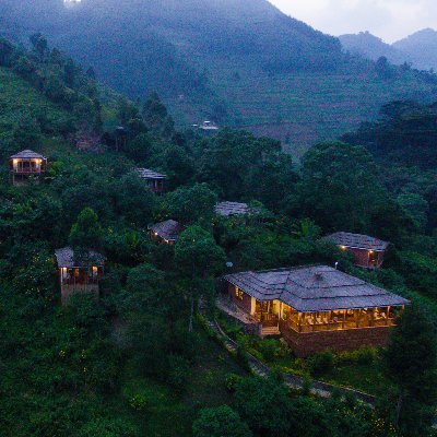 Four Gorillas lodge Uganda Best Luxury Accommodation at the peripheral of Bwindi Impenetrable Forest National Park in Rushaga sector. info@fourgorillaslogde.com