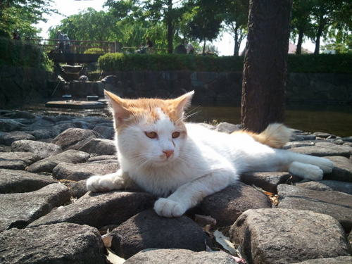 yusuke