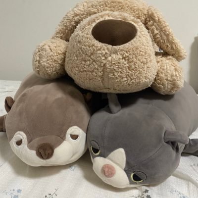 2年目の急性期ST。日々の臨床での出来事/戴いたアドバイス等を備忘録として残しています。一緒に勉強させてください🙇🏻‍♀️ツイート内容は時系列変化あり💁🏻‍♀️
