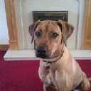 james pickersgill - @james_pick - Twitter