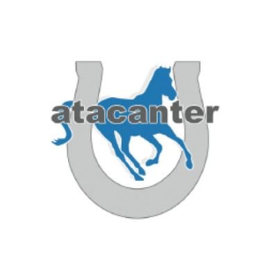 atacanter1 Profile Picture