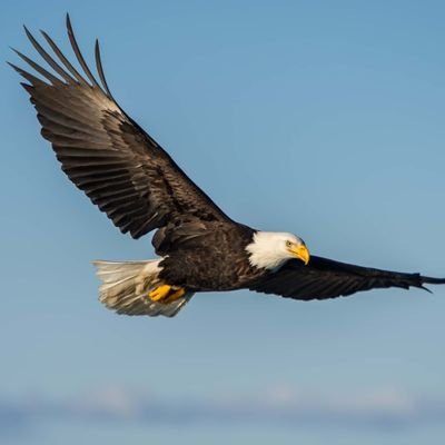 DOqlu's profile picture. Kartal