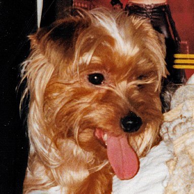 mitukeruna4's profile picture. ホントにどうもすいません。