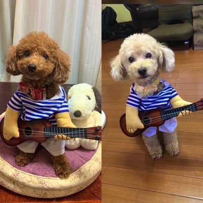 美味しいものが大好き。寝るのも大好き。家族が宝物。仕事も大好き。仲間も宝物。お笑いが好き♪天国に行っても家族は一緒♪