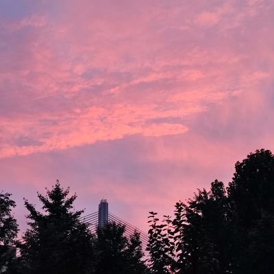 guofei_cn's profile picture. A programmer
