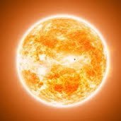 bartflea's profile picture. 