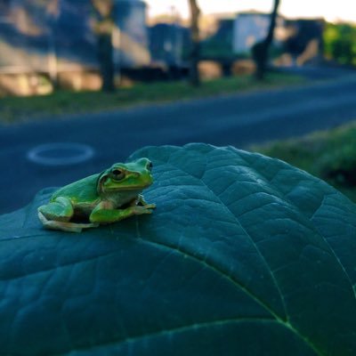 くろさんのプロフィール画像