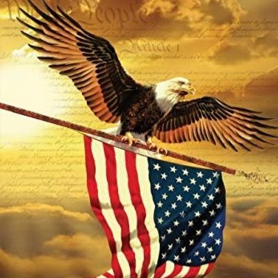 Patriot. I pledge allegiance to the flag…Hater of hypocrisy. Liberal thinking is laughable. 🚫 Career politicians. Bourbon #1