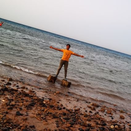 Mohamed18398956's profile picture. Coffee ☕ 
Future web developer 💻
Gym ❚█══█❚