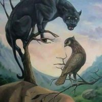 تادوي مهدي (@lflp99ngxuvziuv) 's Twitter Profile