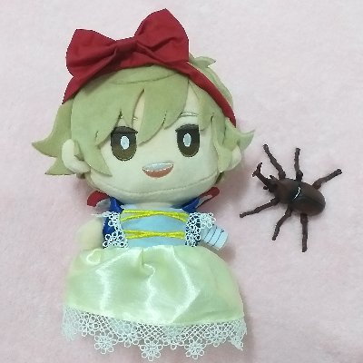 Rada 🪲🪴さんのプロフィール画像
