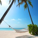 doreen coleman - @loveskala - Twitter