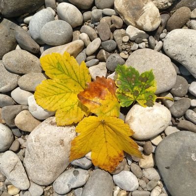 martaxtina's profile picture. Física, empresaria, pajarera viajera y ahora también, madre de artista