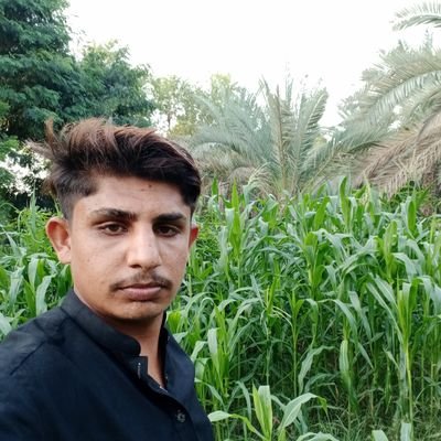 AwaisAhmedLari2's profile picture. 